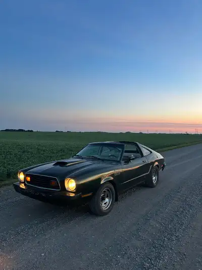 1978 Mustang ii. 5.0 out of a 96 f150. 4 speed standard. Project car but has great bones $6000 or po...
