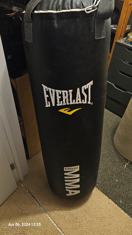 EVERLAST  MMA punching bag. in Exercise Equipment in Mississauga / Peel Region