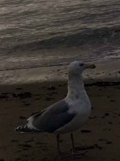 looking for job /Caretaker/customer service adminstration, View more