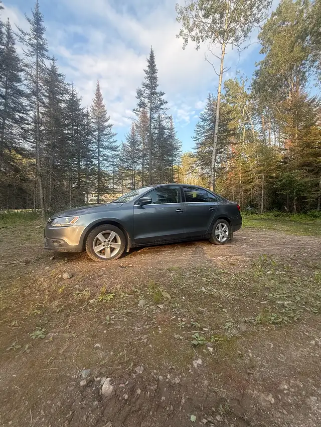 2014 Volkswagen Jetta 