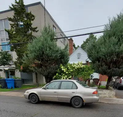 1999 Toyota Corolla LE 309km