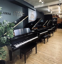 Magnifiques pianos à queue d'occasion certifiés - Piano Vertu City of Montréal Greater Montréal Preview