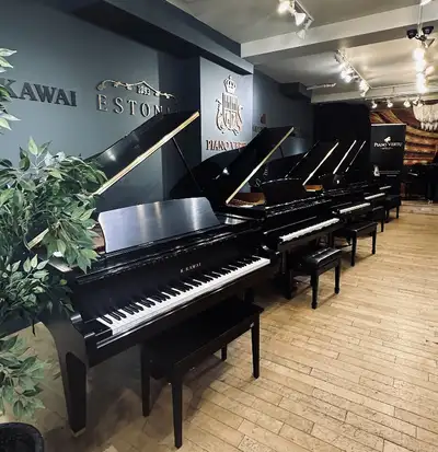 Magnifiques pianos à queue d'occasion certifiés - Piano Vertu, View more