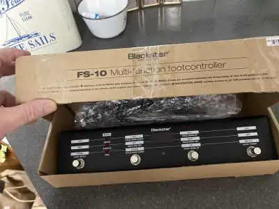 Blackstar FS 10 Foot Controller(please read explanation), View more