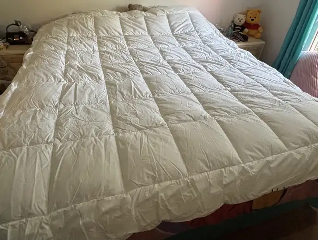 Queen Duvet and duvet cover in Bedding in Ottawa - Image 3