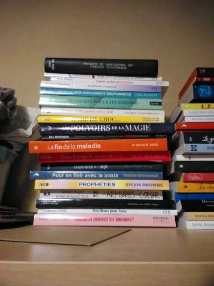 Livres assortis dans Autre  à Ville de Montréal - Image 2