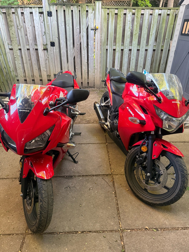 Rent a Motorcycle for Test in Cars & Trucks in Mississauga / Peel Region - Image 3