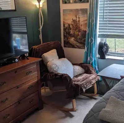 Mature Student Looking For Barrie Rental