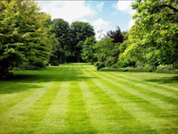 Lawn care/ landscaping 