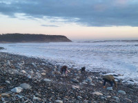 Looking for a place to rent in Lawrencetown 