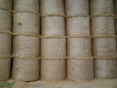 Straw For Sale, View more