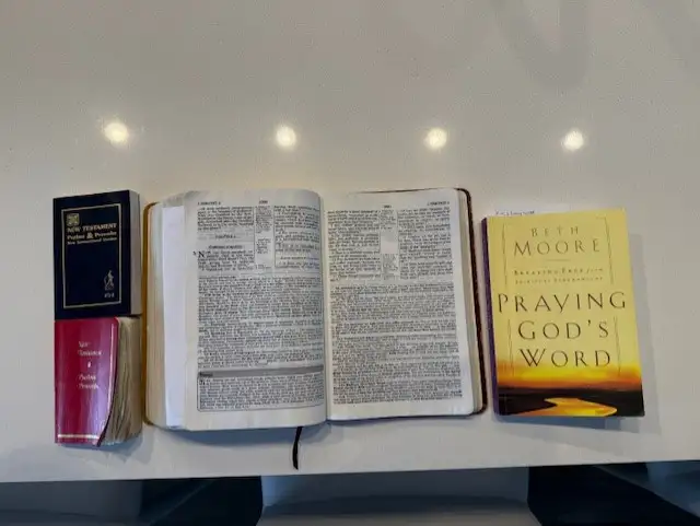 Bible Study65669459933058122