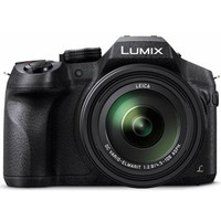 Lumix FZ 300  25 to 600 Zoom Camera