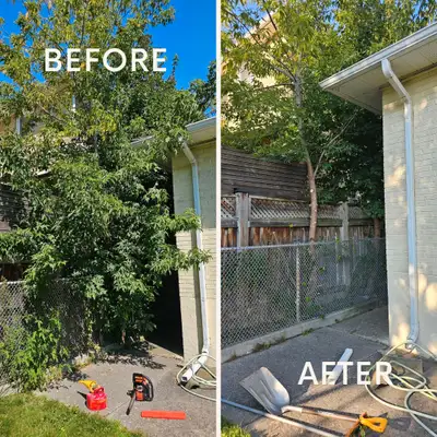 Call/Text/WhatsApp: 647-410-5592 Lawn Care & Home Maintenance Services Reliable, professional servic...