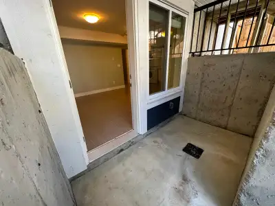 One bed/one bathroom basement suite (house built in 2015) in the Summerfield area of South Surrey. L...