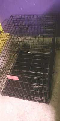Cage chien