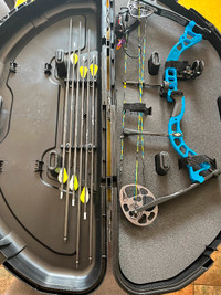 compound bow, arrows, case, everything for sale