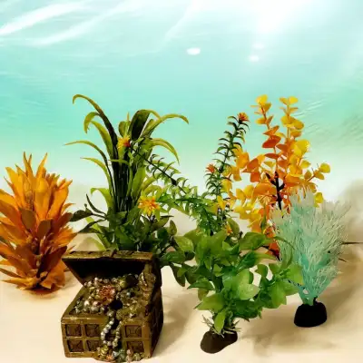 Aquarium bundle , View more
