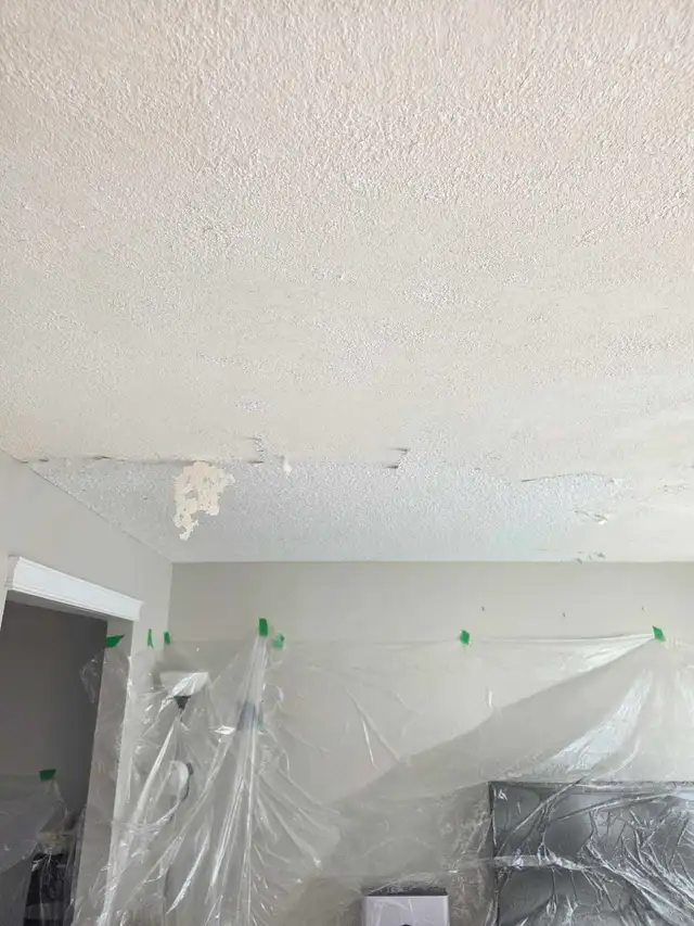 Professional Drywall, Taping, Ceiling Texture & Painting 534820945197148167