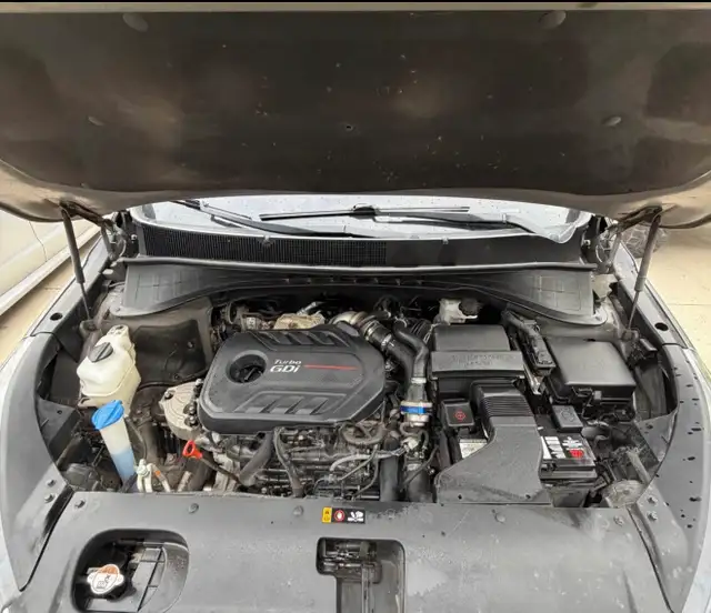 Kia Sorento 552033530256435206