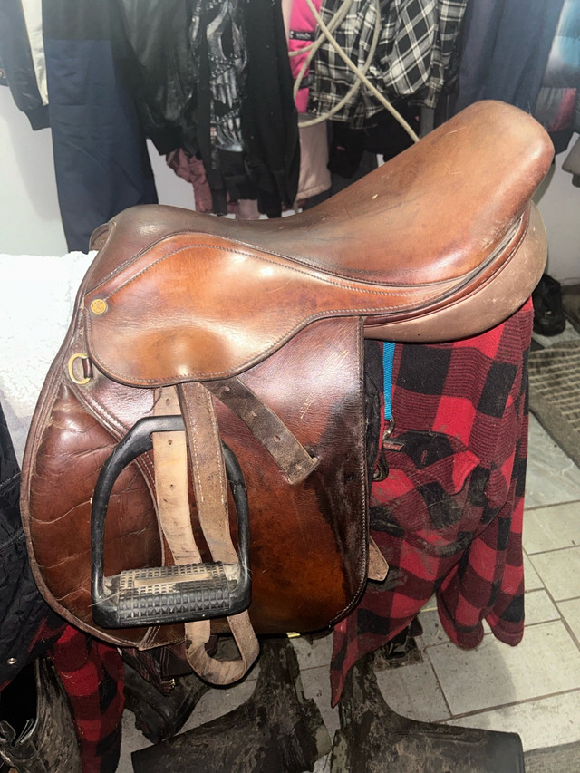 English saddle  in Equestrian & Livestock Accessories in Nanaimo