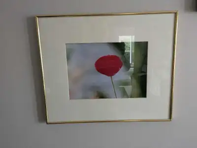 18 gold frames, View more