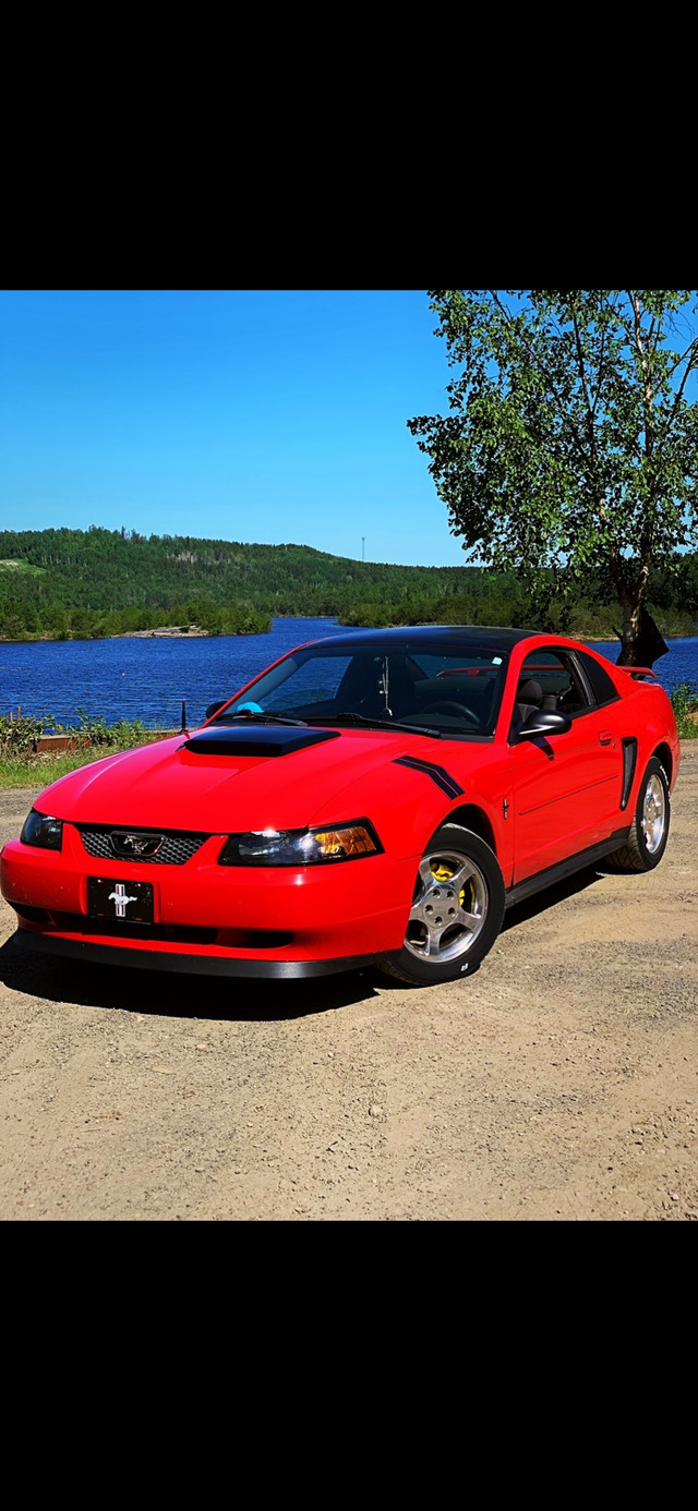 Mustang 2004  dans Autos et camions  à Ville de Québec