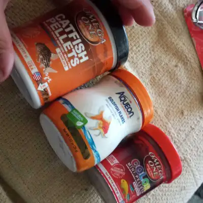 All 4 sold together All food containers are full and the decor is new no damages 647-203-0411 Don Mi...