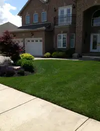Grass Cutting and Landscaping 