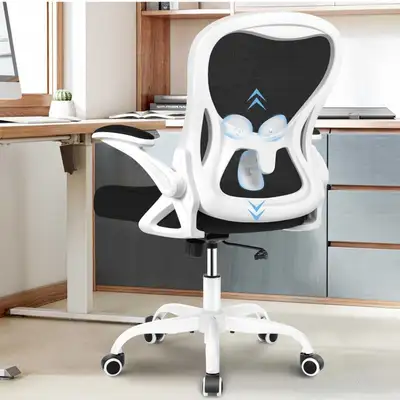 Office / Home Ergonomic Desk Chair with Lumbar Support, View more