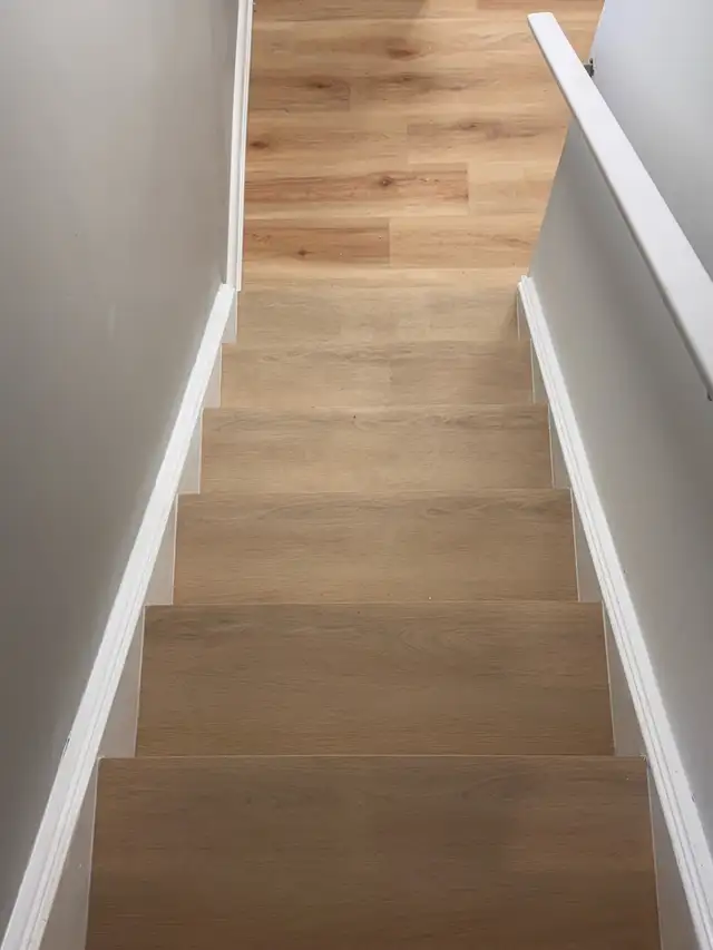 carpenter for professional services65636565614465124