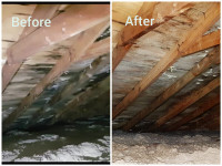 ATTIC MOLD   REMOVAL ,GTA   FROM $500, (647-451-0493)