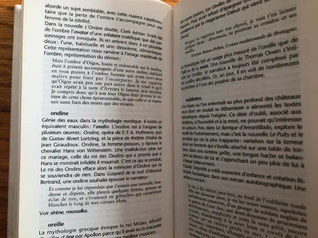 THE WORDS OF WONDER AND FANTASY by GILBERT MILLET and D63006662046211124