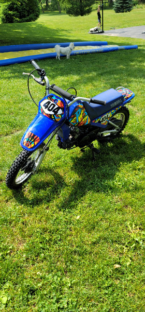 peewee 80 dirt bike