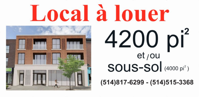 Local commercial neuf à louer 4200pi2 et/ou sous-sol 4000pi2 dans Espaces commerciaux et bureaux à louer  à Ville de Montréal