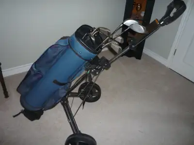 Lady's Cobra Golf Clubs, View more