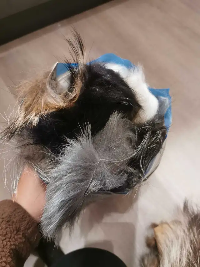 fur trimmings62863268836355121