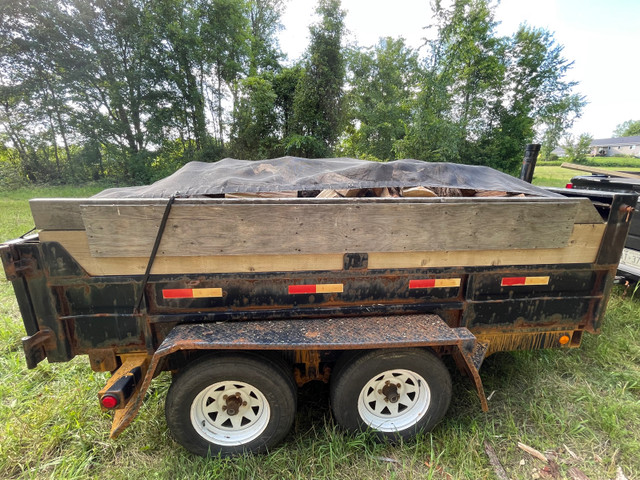 Seasoned Hardwood Firewood in Other in Kingston - Image 2