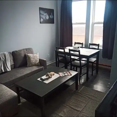 Welcome to Centertown! This apartment boasts a cozy living space with modern furnishings and ample n...