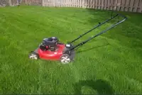 Grass cuttin