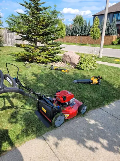 Looking to cut Lawns for the 2025 season in the mount Elgin area usually charge around 35$ but depen...