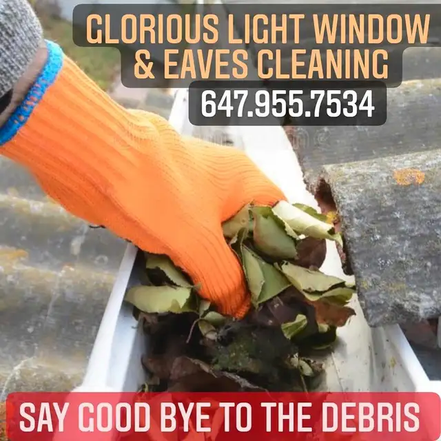 *"Gutter Emergency? We've Got You Covered!"*62863711433857121