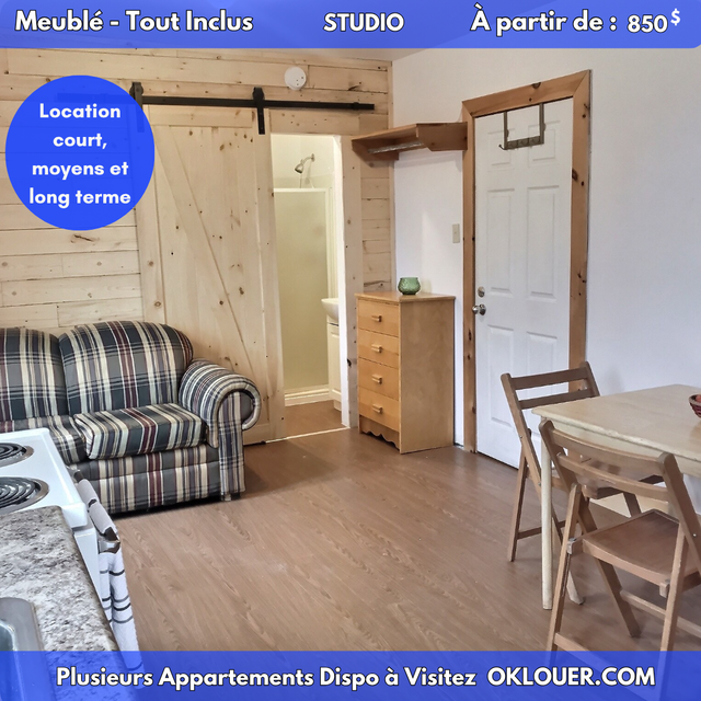 All-Inclusive Studio – Furnished – Available in Limoilou