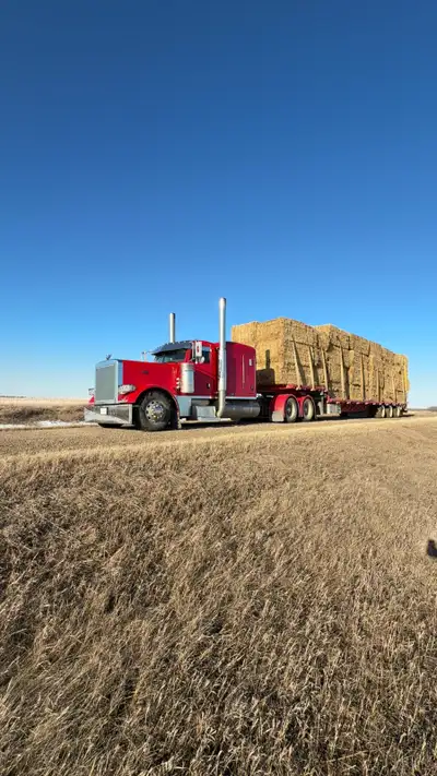 Arneson Ag LTD 2 trucks ready to go Offering hauling services such as Bales Grain Equipment Covering...