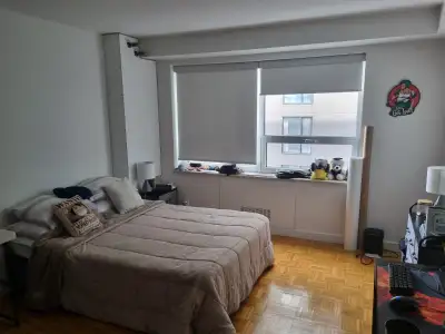 Dorchester building located in 1555 Rene-Levesque O, H3G0G9. Studio apartment avialable for move in...