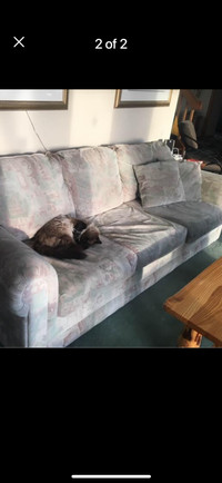 Couch. Great condition. (No cat, old pic)