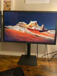 LG UltraFine Display Monitor