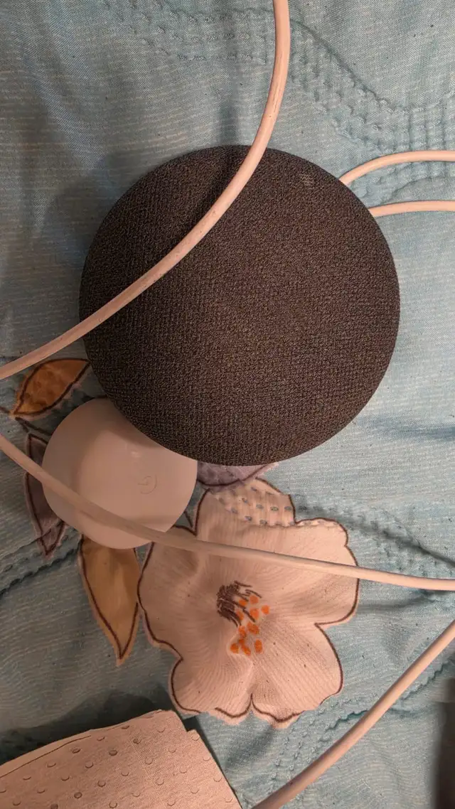 Google Nest Mini501752720880445441