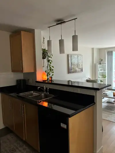 1 bedroom, 1 bathroom apartment available February 1st or March 1st. Located on Tower Road in a quie...