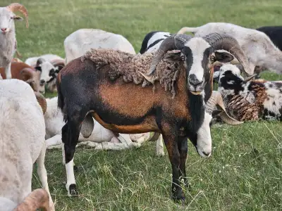 Painted Desert Breeding Group, View more